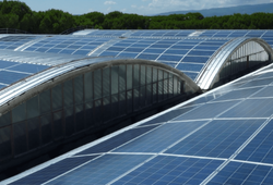 Cupolino per capannoni industriali - sezione Servizi per AZIENDE